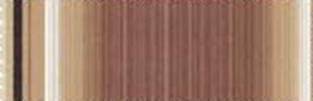 636 - 14 - Brown Elite Stripe.png 636 - 14 - Brown Elite Stripe.png